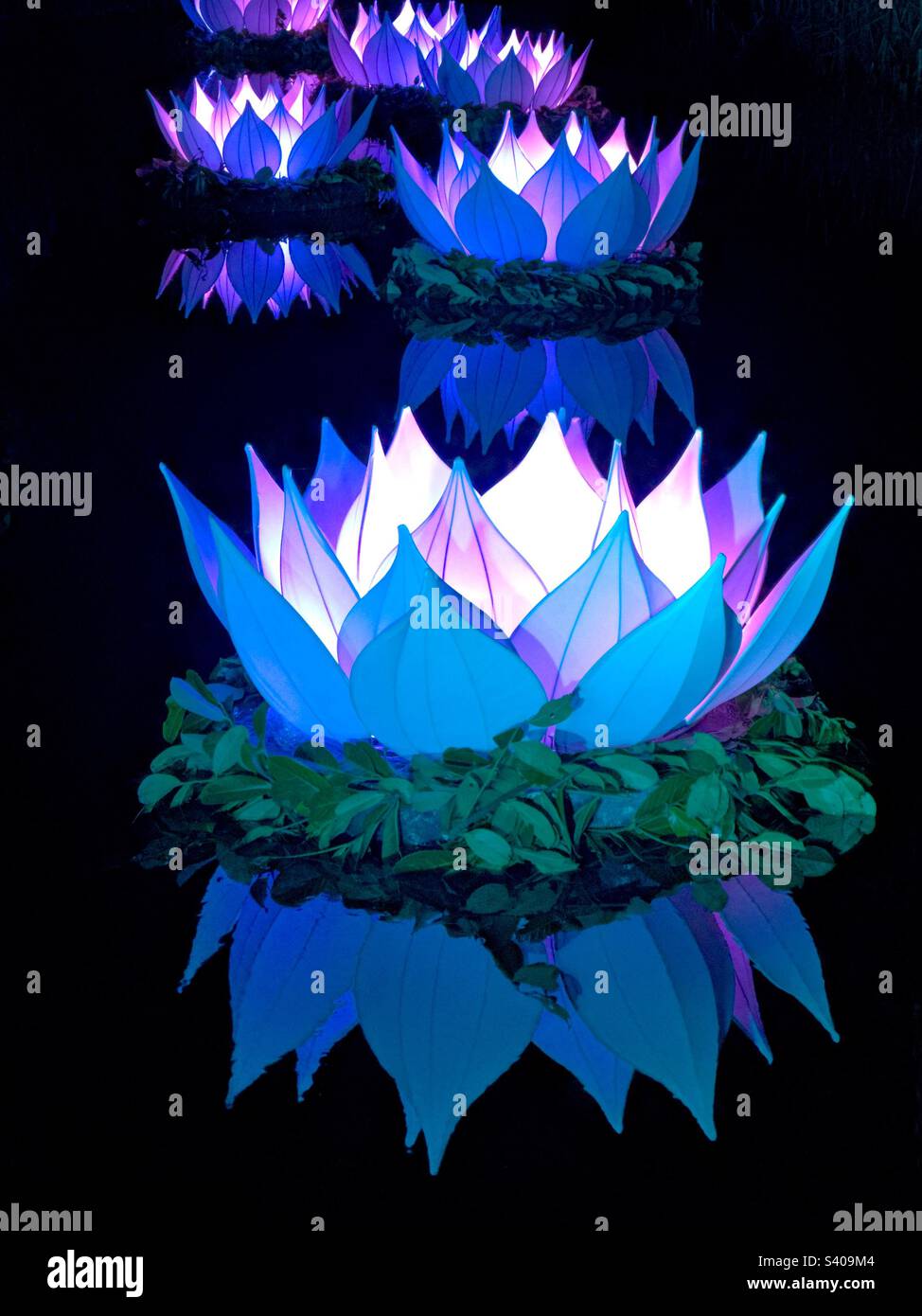 Illuminated lily shaped decorations floating on water. No people. Stock Photo
