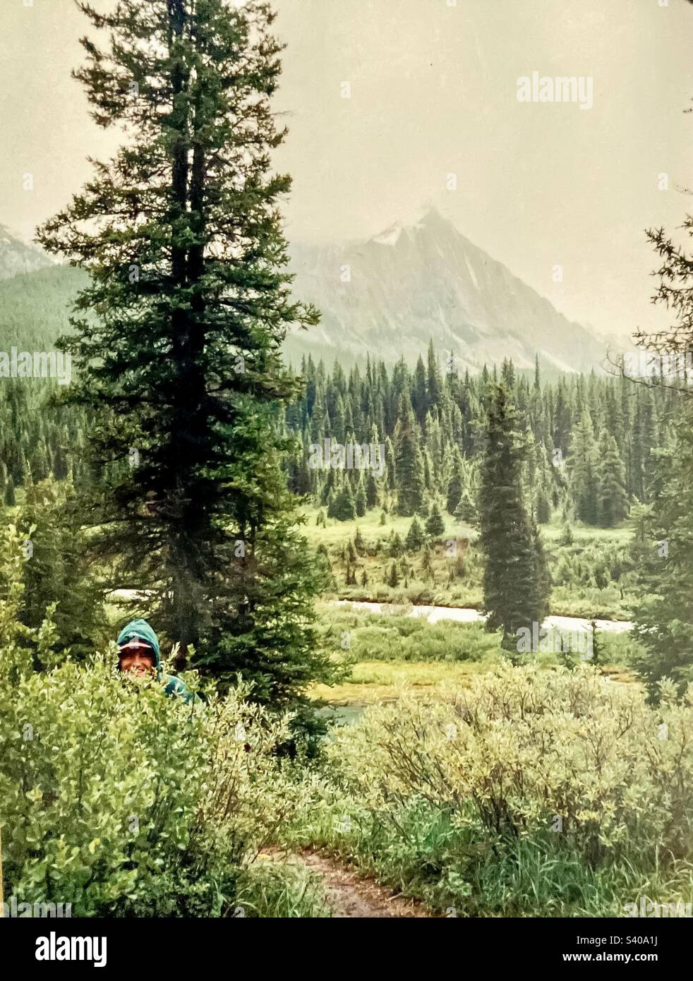 Blending in to the underbrush on the Ink Pots trail in Banff National Park. - Smartphone Captured Stock Image