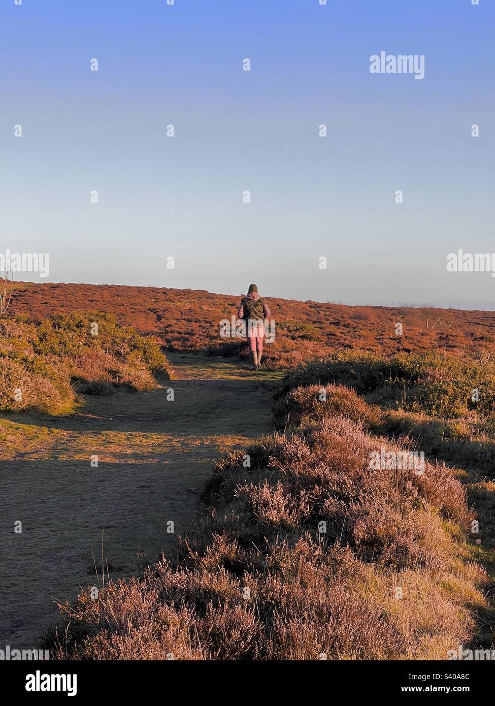 Single man in pink trousers walks along the wild moors on top of