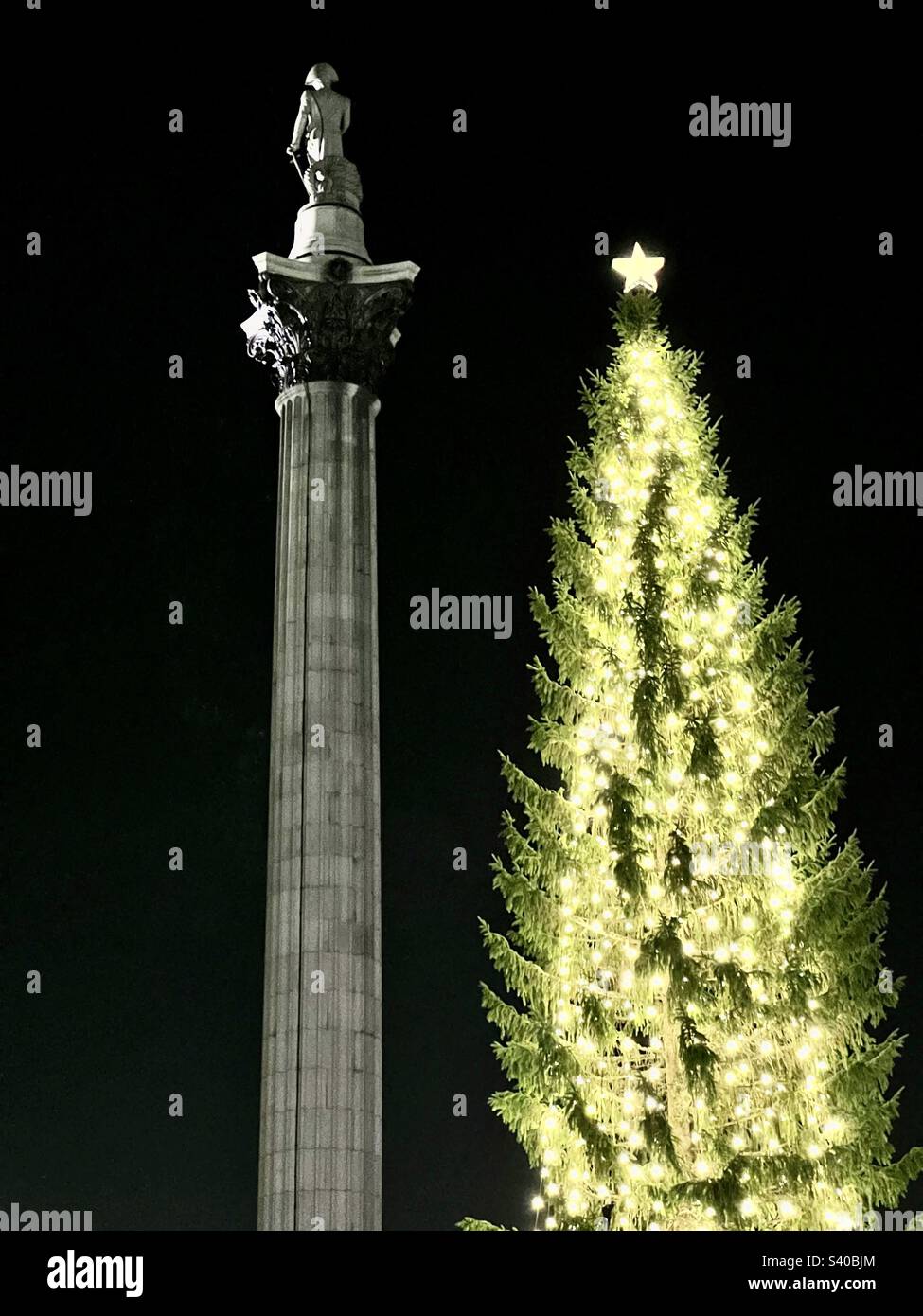 Trafalgar square at Christmas; the Norwegian Christmas tree covered in