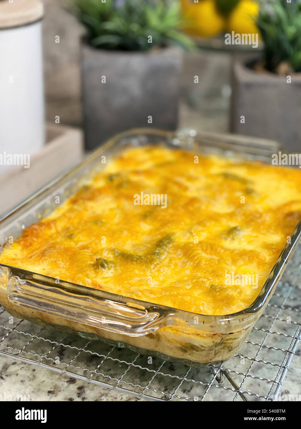 Homemade macaroni and cheese made with Tricolor rotini noodles Stock