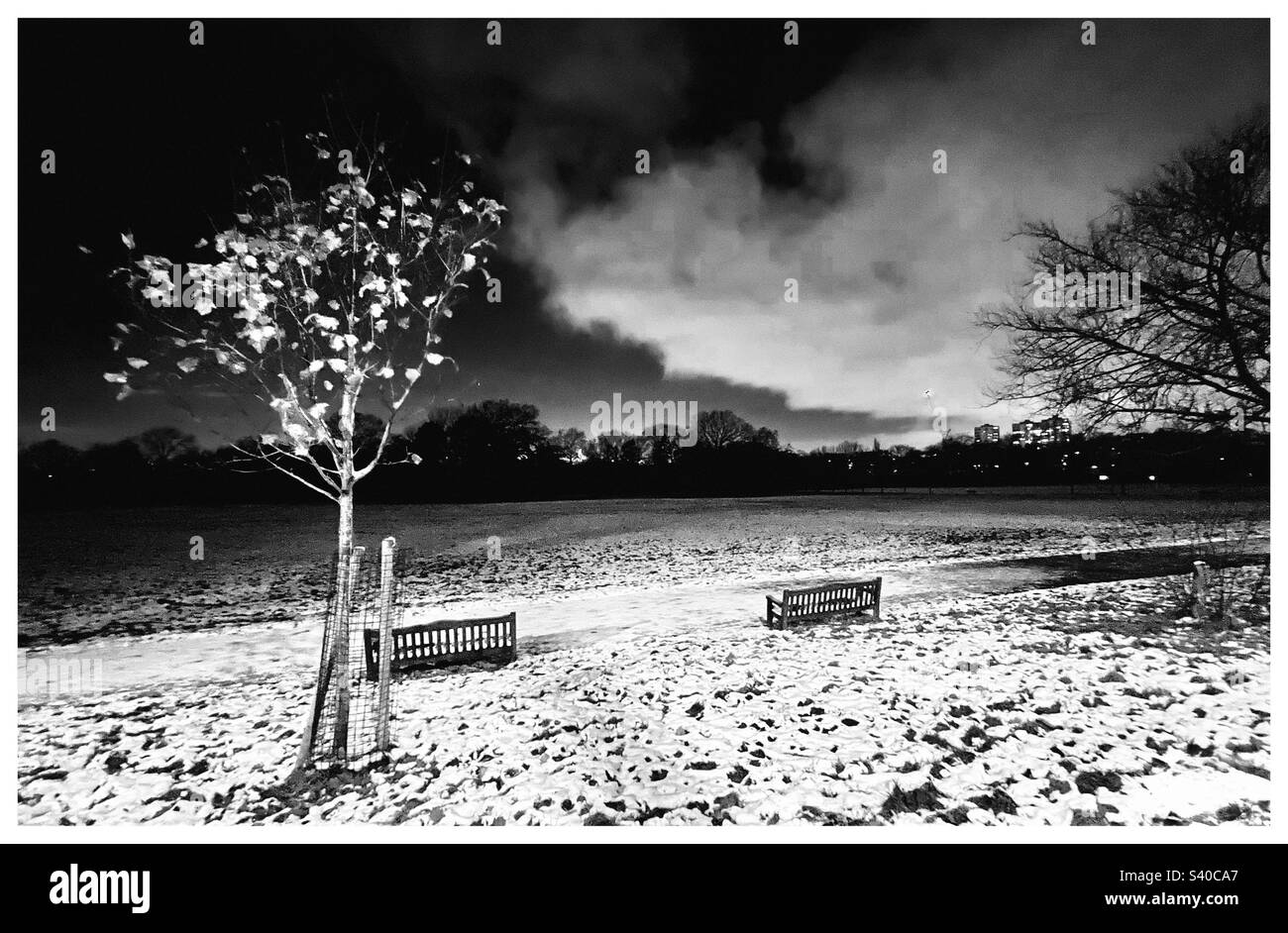 Peckham rye in the snow. - Smartphone Captured Stock Image