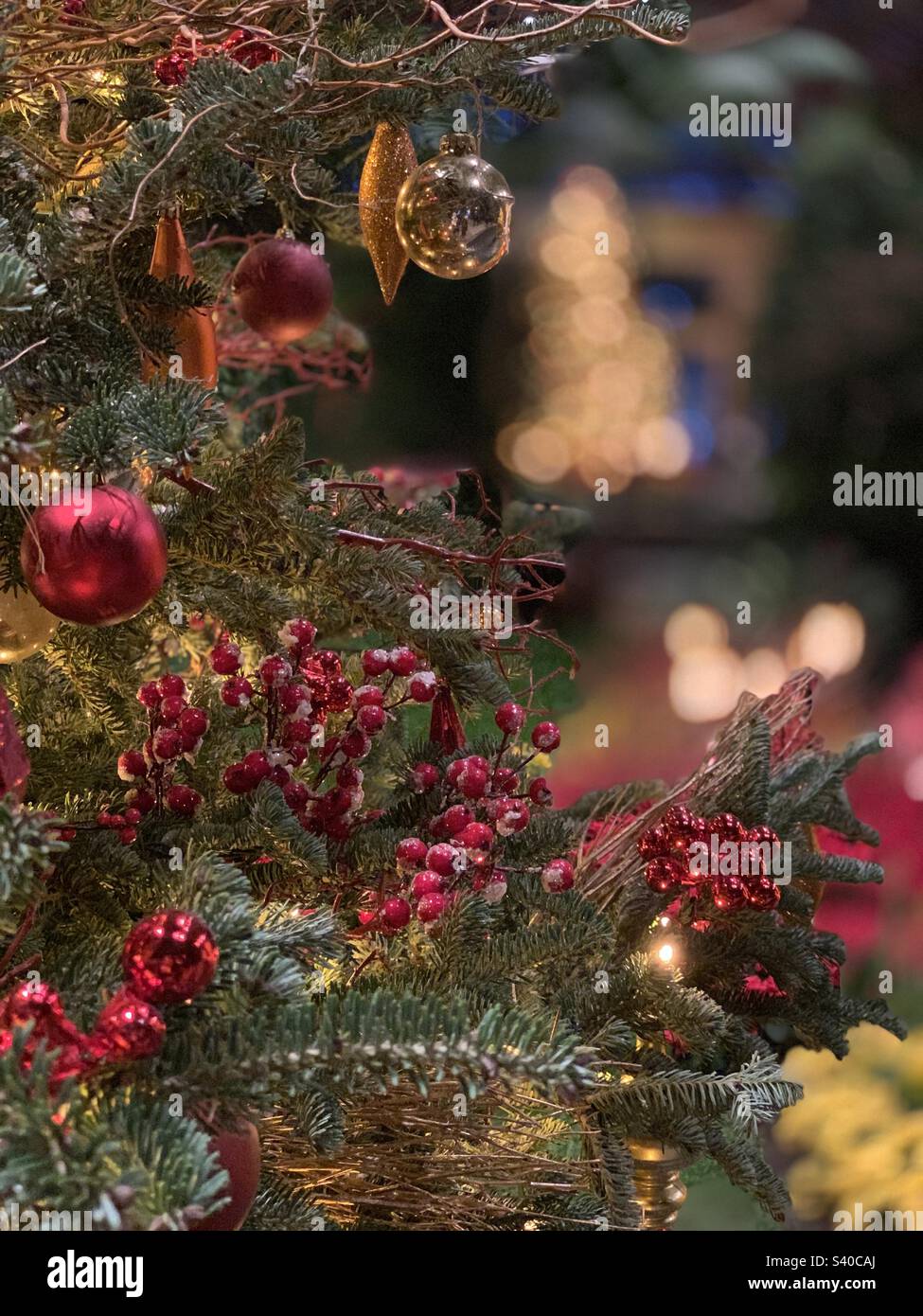 Christmas - Smartphone Captured Stock Image