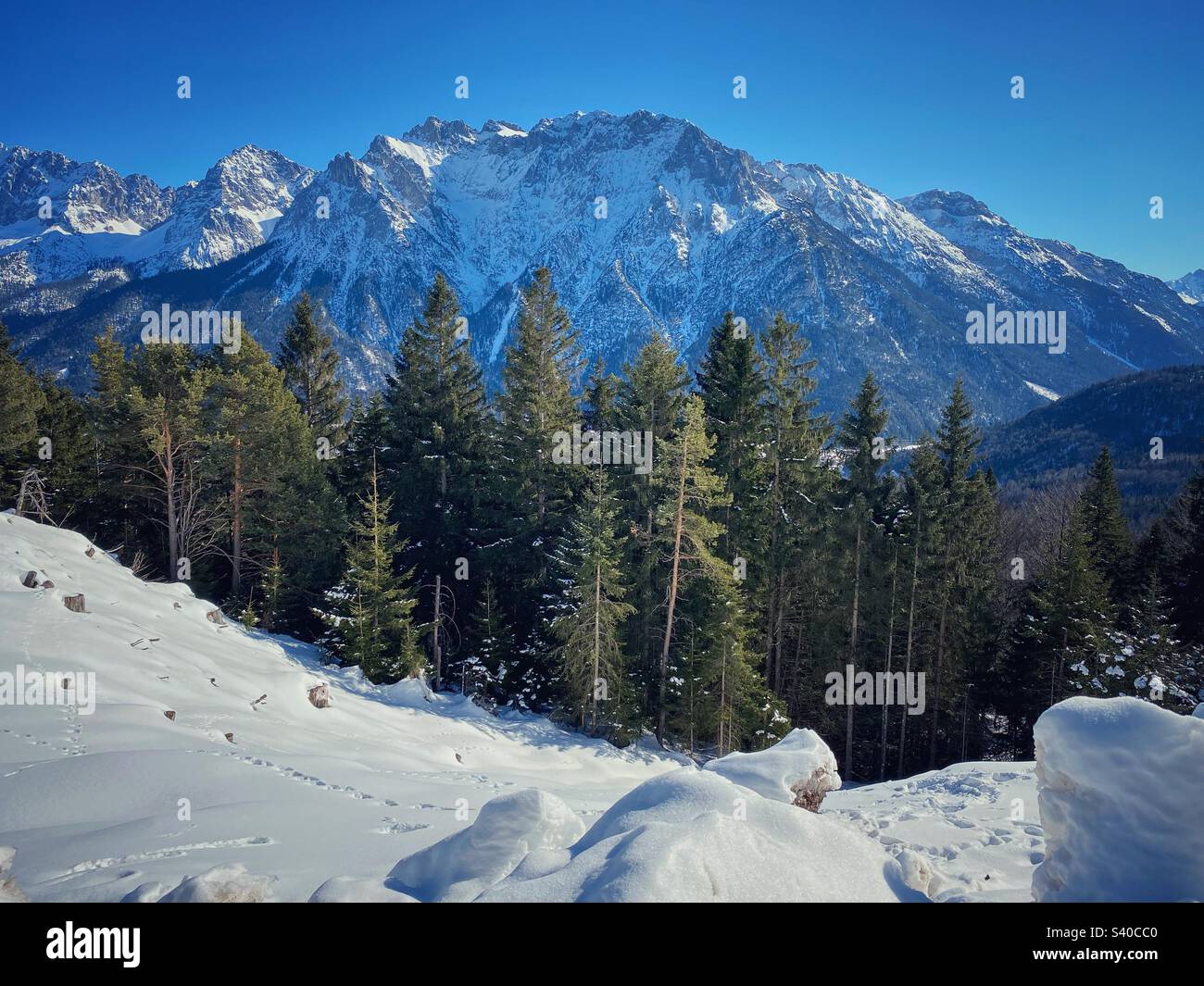 Pine trees and alpine peaks winter view with lots of snow on the top of Kranzberg mountain in South Germany. - Smartphone Captured Stock Image