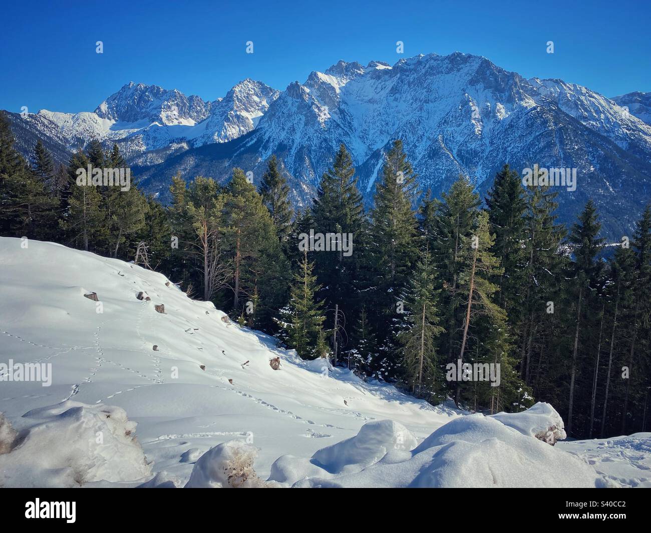 Pine tree forest and alpine peaks winter view with lots of snow on the top of Kranzberg mountain in South Germany. - Smartphone Captured Stock Image