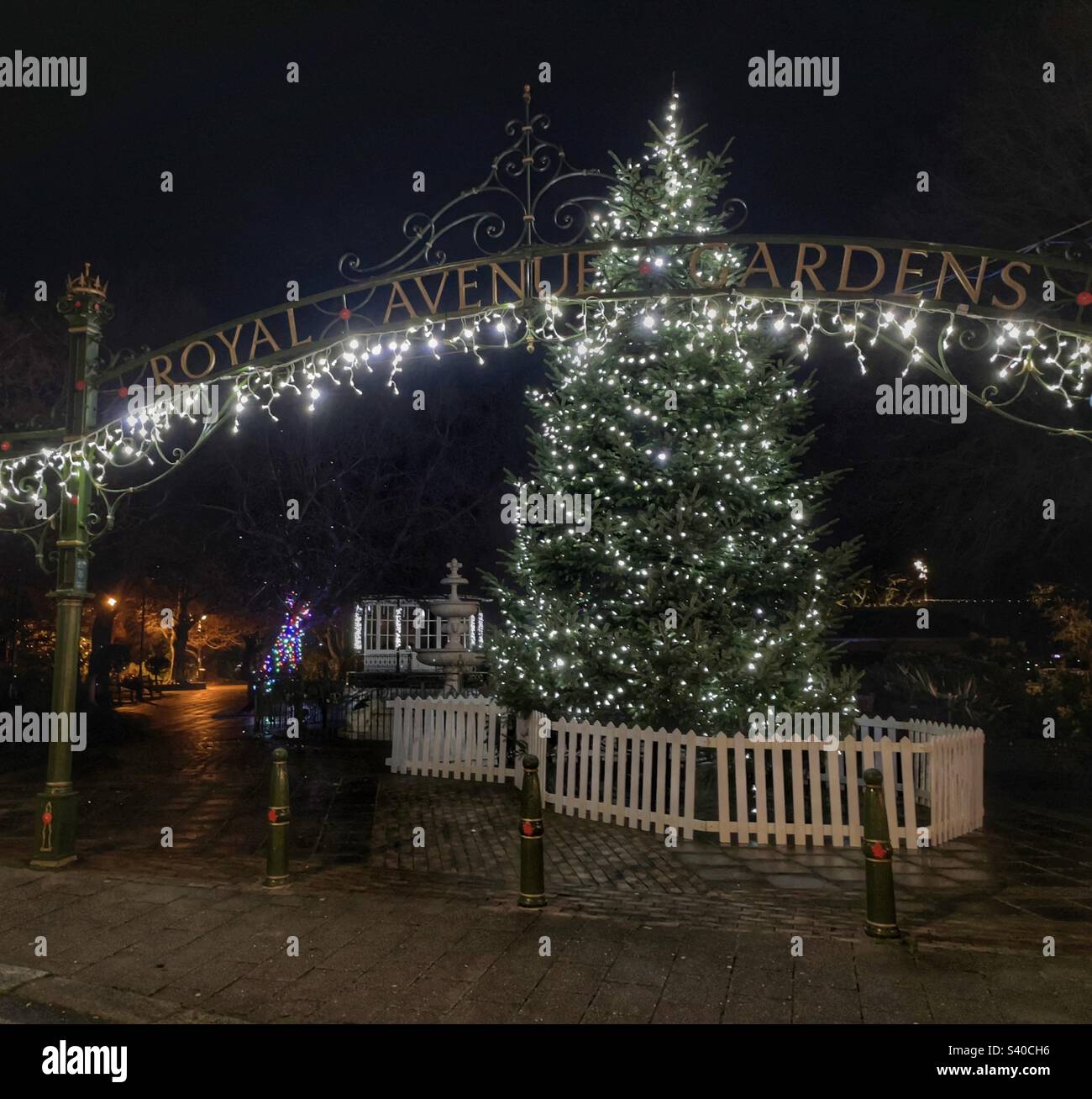 Dartmouth; Devon - Royal Avenue Gardens, Christmas tree - Smartphone Captured Stock Image