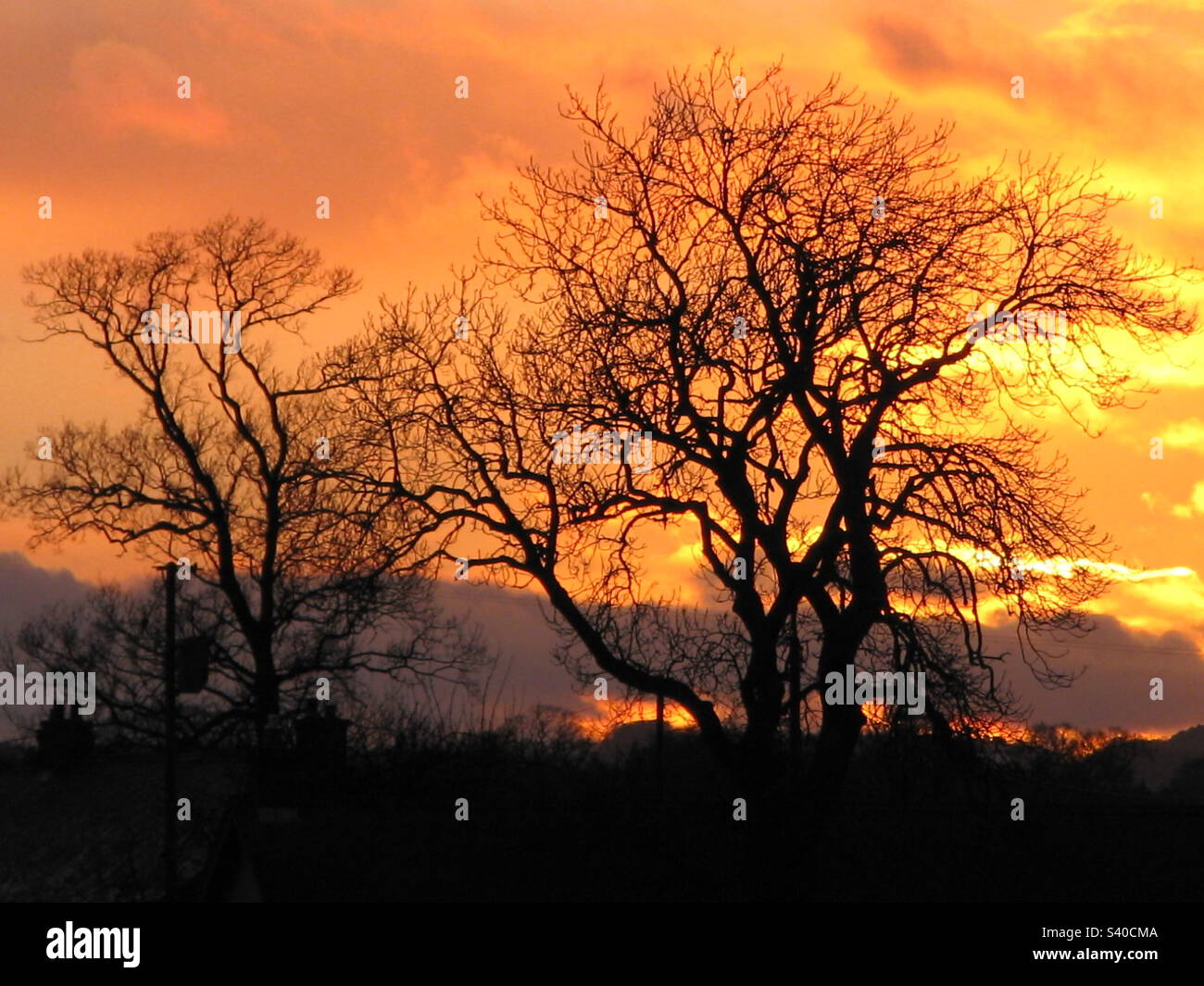 Autumn Sunset. - Smartphone Captured Stock Image