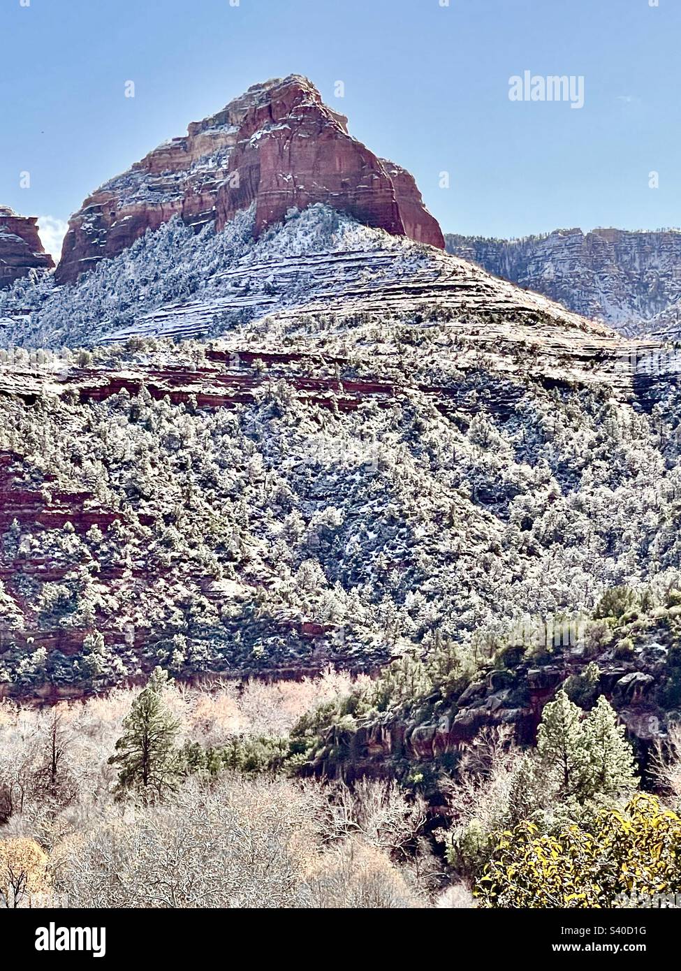 Sedona snow, Oak creek canyon, red rocks, butte, pine trees, winter