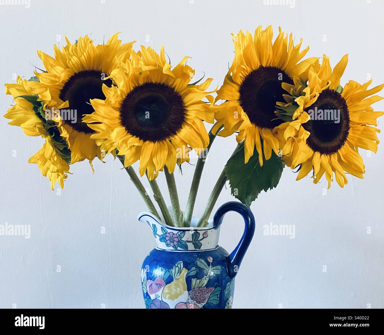 Five sunflowers hires stock photography and images Alamy