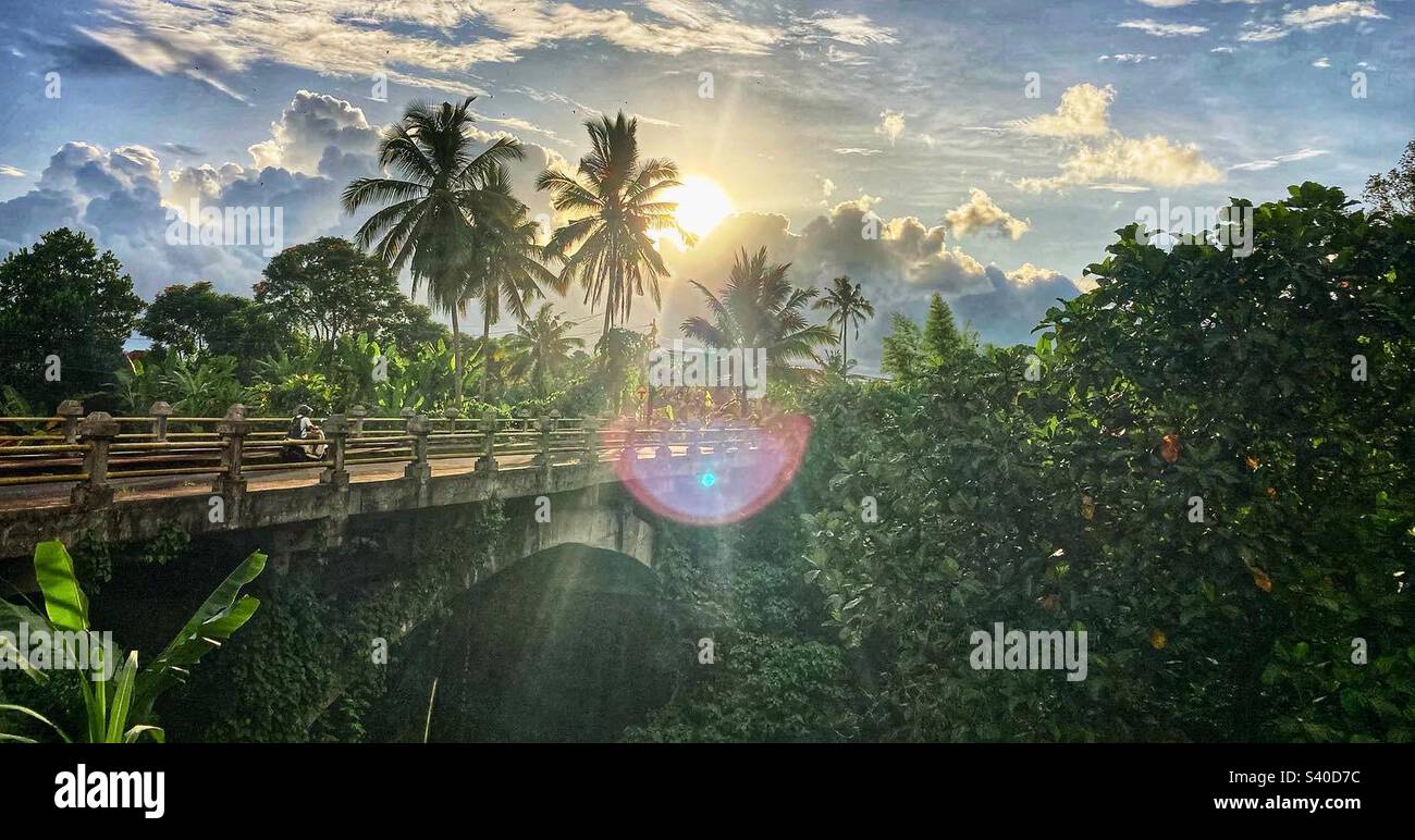 Bridge and jungle in Ubud Bali as the sun goes down - Smartphone Captured Stock Image