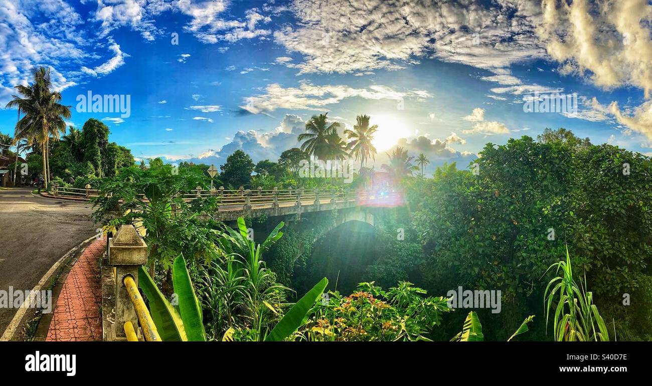 View of bridge and jungle outside the Muse Cafe in Ubud Bali - Smartphone Captured Stock Image