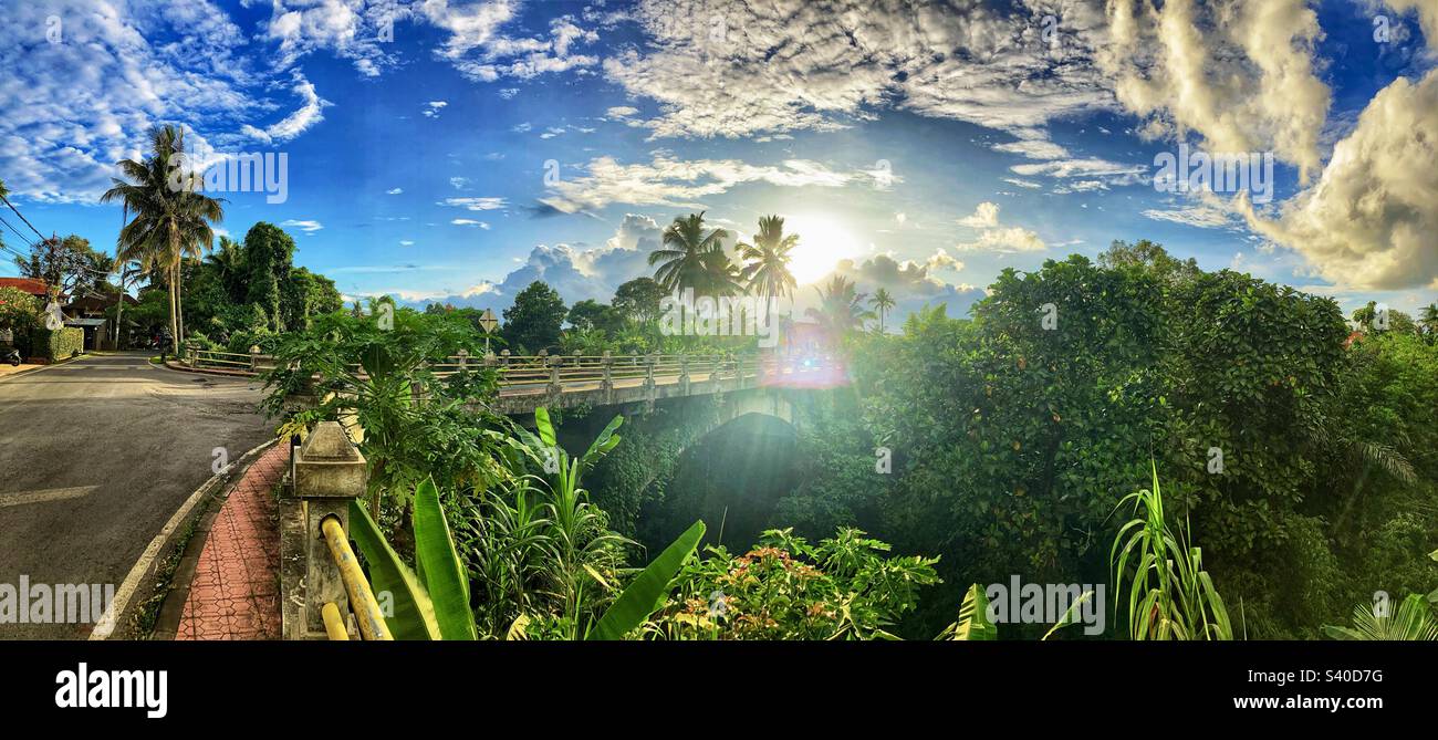Panoramic photo of bridge and jungle outside the Muse cafe in Ubud Bali - Smartphone Captured Stock Image