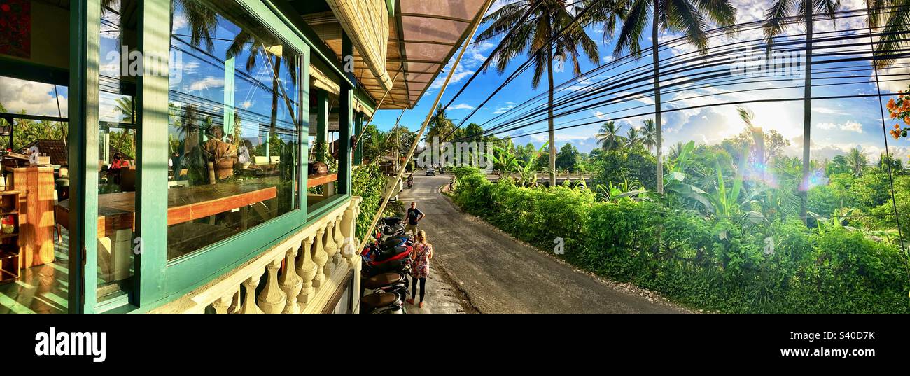 Panoramic view from the muse cafe Ubud Bali Stock Photo Alamy
