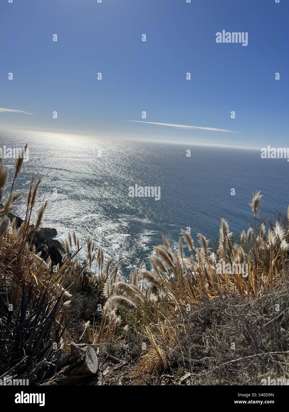 Willows california hires stock photography and images Alamy