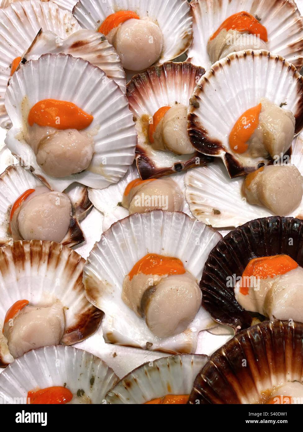 Fresh scallops in their shells in a fish market Stock Photo Alamy