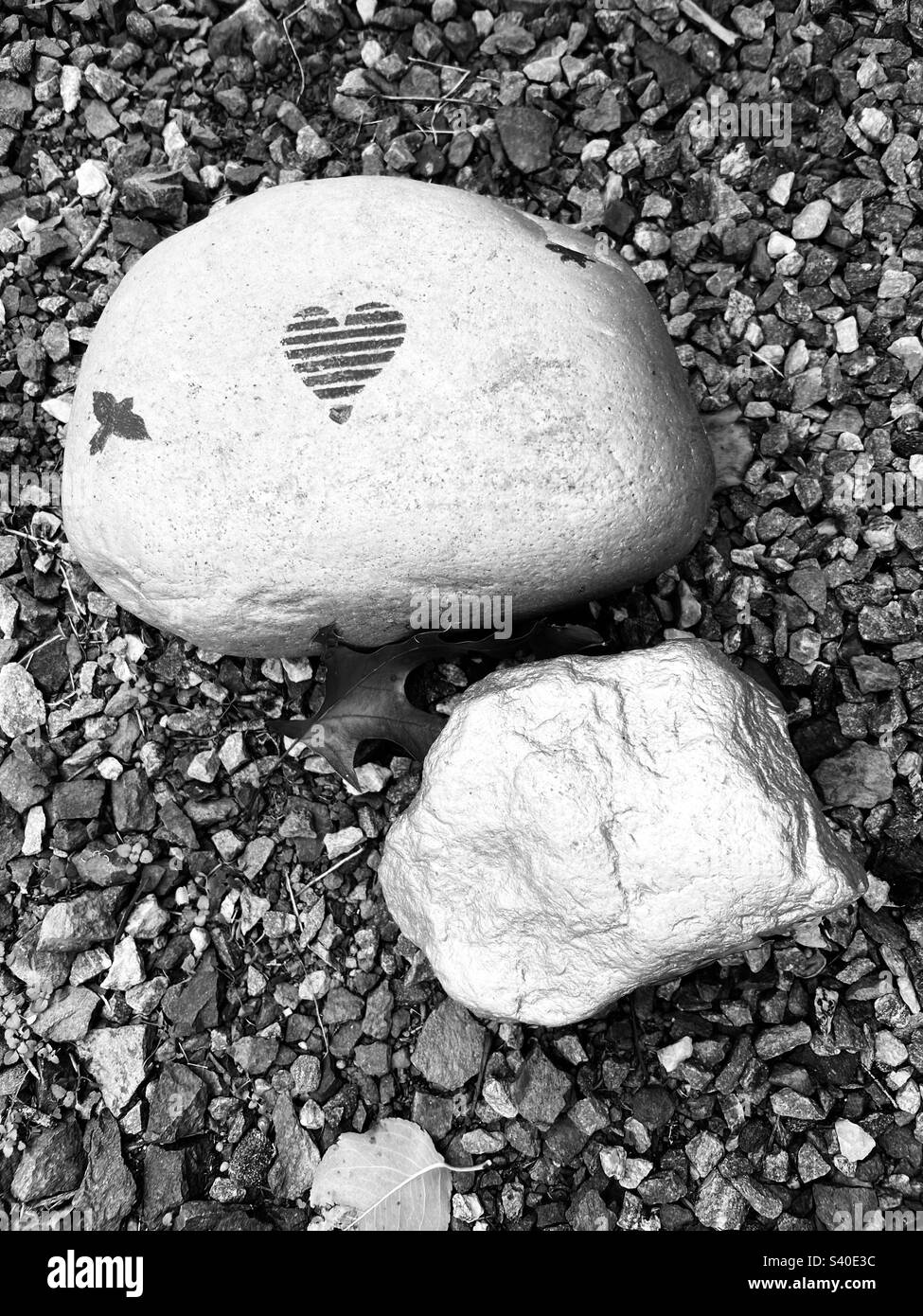 Heart of stone and free as a bird Stock Photo Alamy