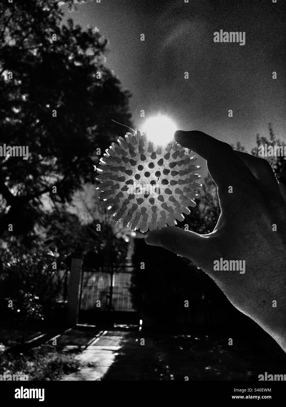 Dramatic image of a spiked plastic ball - Smartphone Captured Stock Image