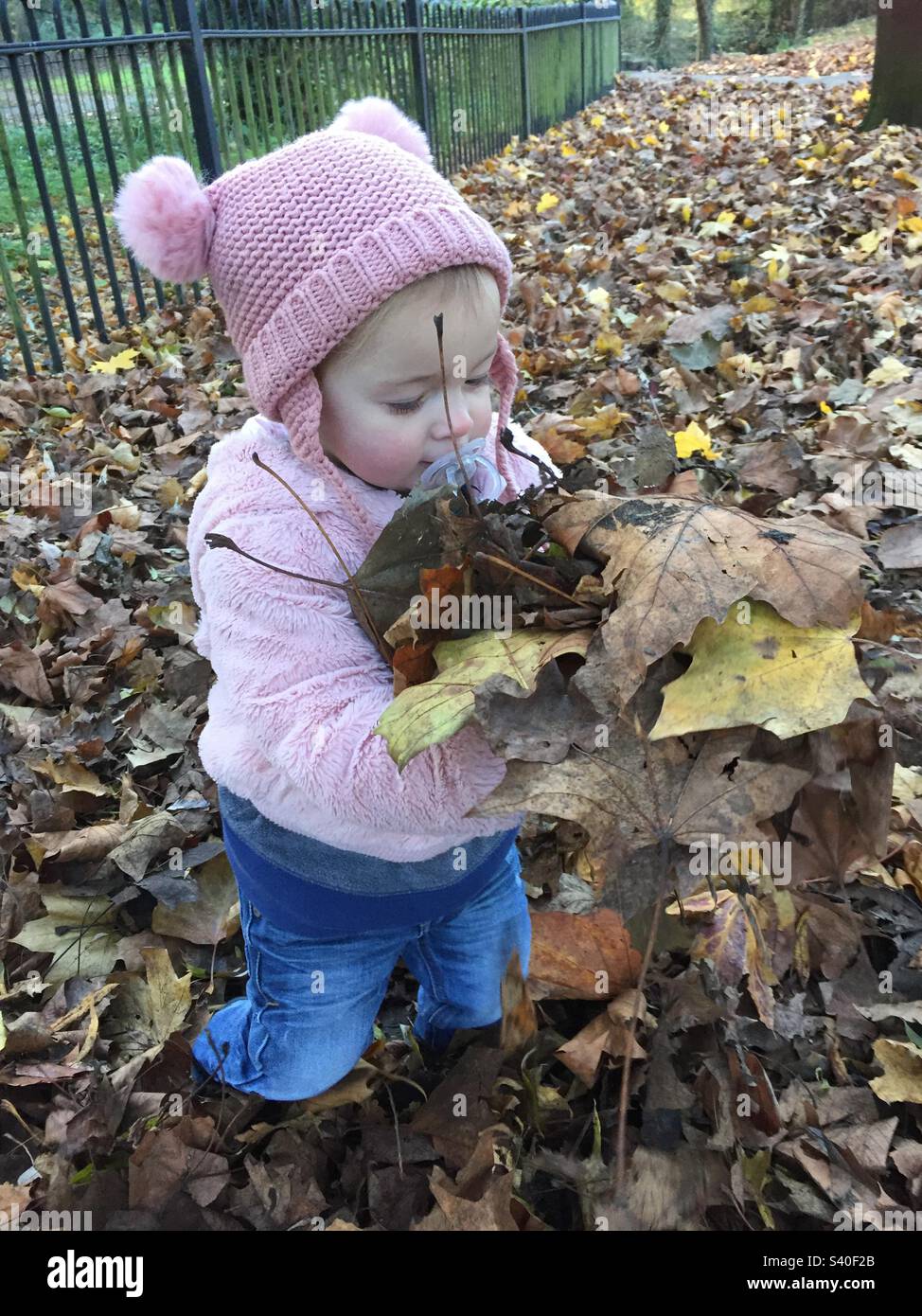 Toddler playing in autumn leaves - Smartphone Captured Stock Image