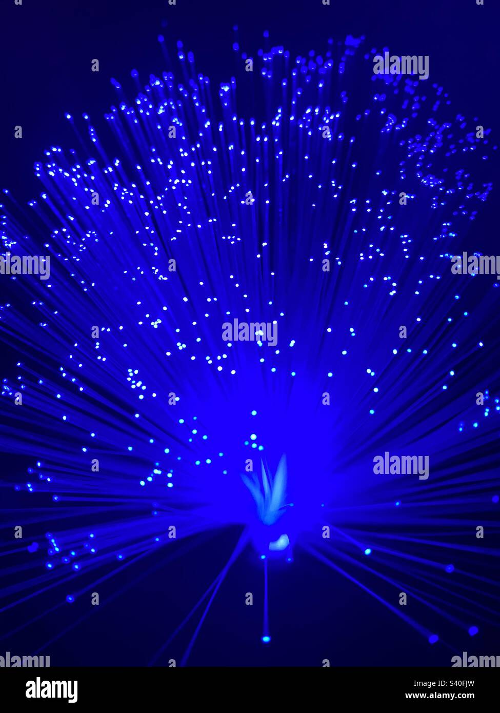 Blue Light Fibre Optic Stock Photo