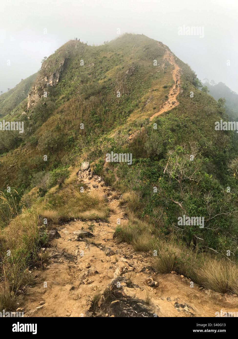 View of a hill located in Perak, Malaysia Stock Photo Alamy