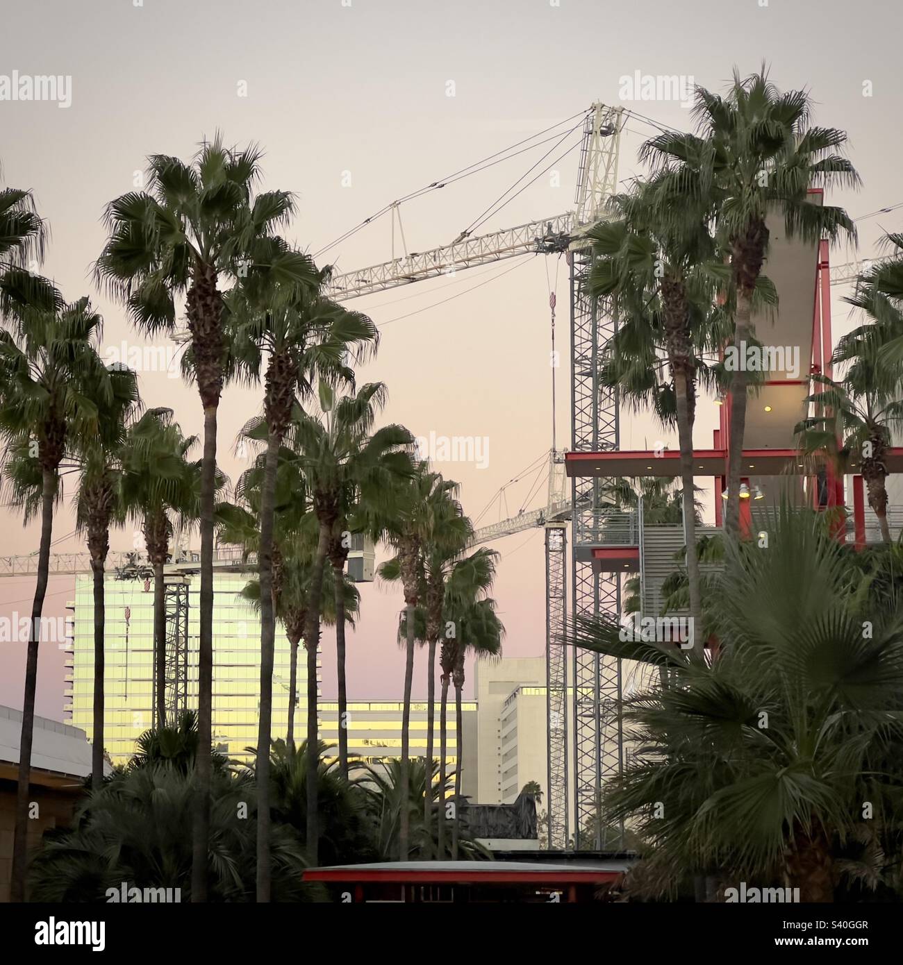 Construction cranes working in Los Angeles, at dusk with pink sky and office building behind, and palm trees in the foreground - Smartphone Captured Stock Image