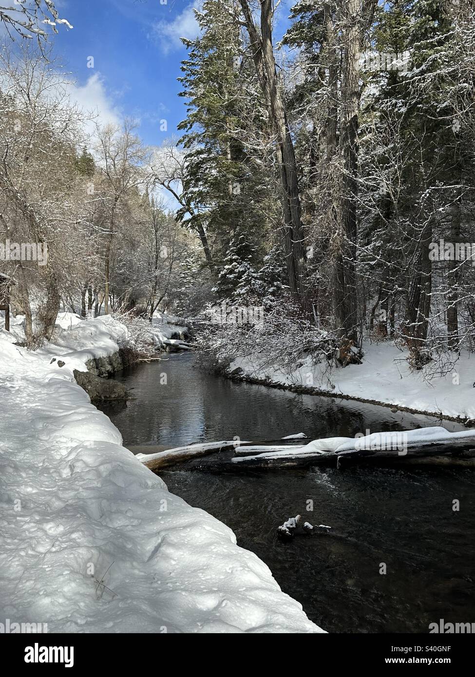 Snowy creek in a winter wonderland Stock Photo Alamy