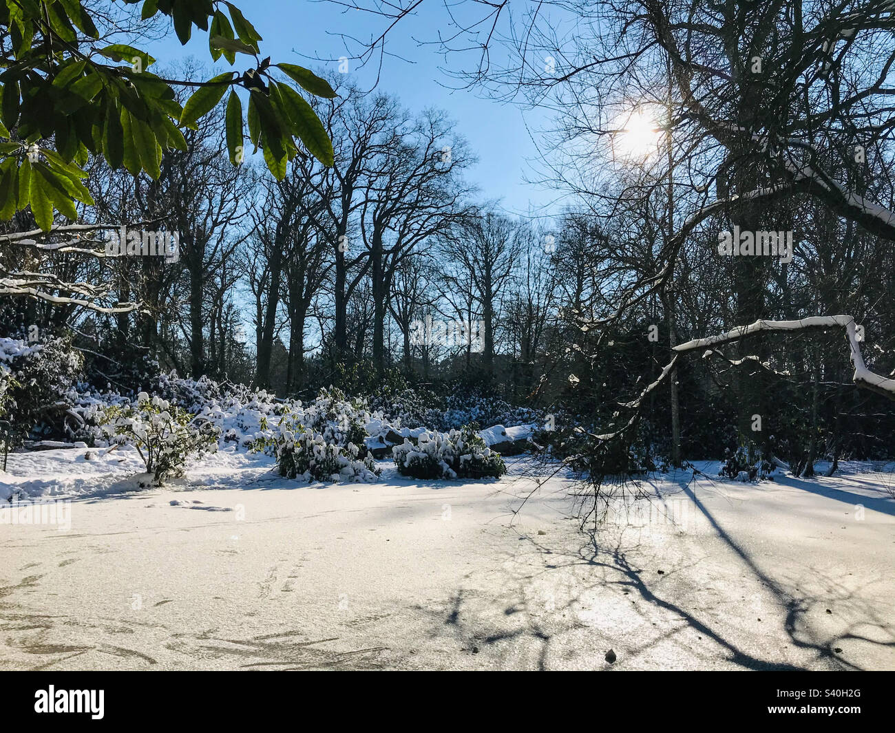 Woman ice skating on a beautiful frozen outdoors lake - Smartphone Captured Stock Image
