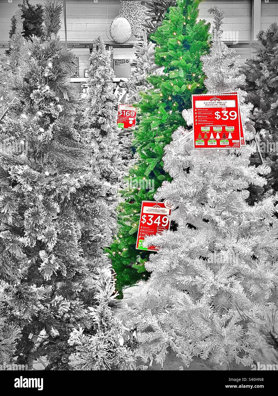 Artificial Christmas trees, both green and flocked, are on display and for sale at a local Walmart in Utah, USA. - Smartphone Captured Stock Image