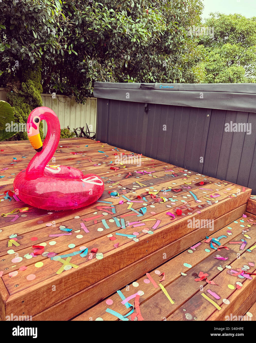 Flamingo floaty and confetti Stock Photo