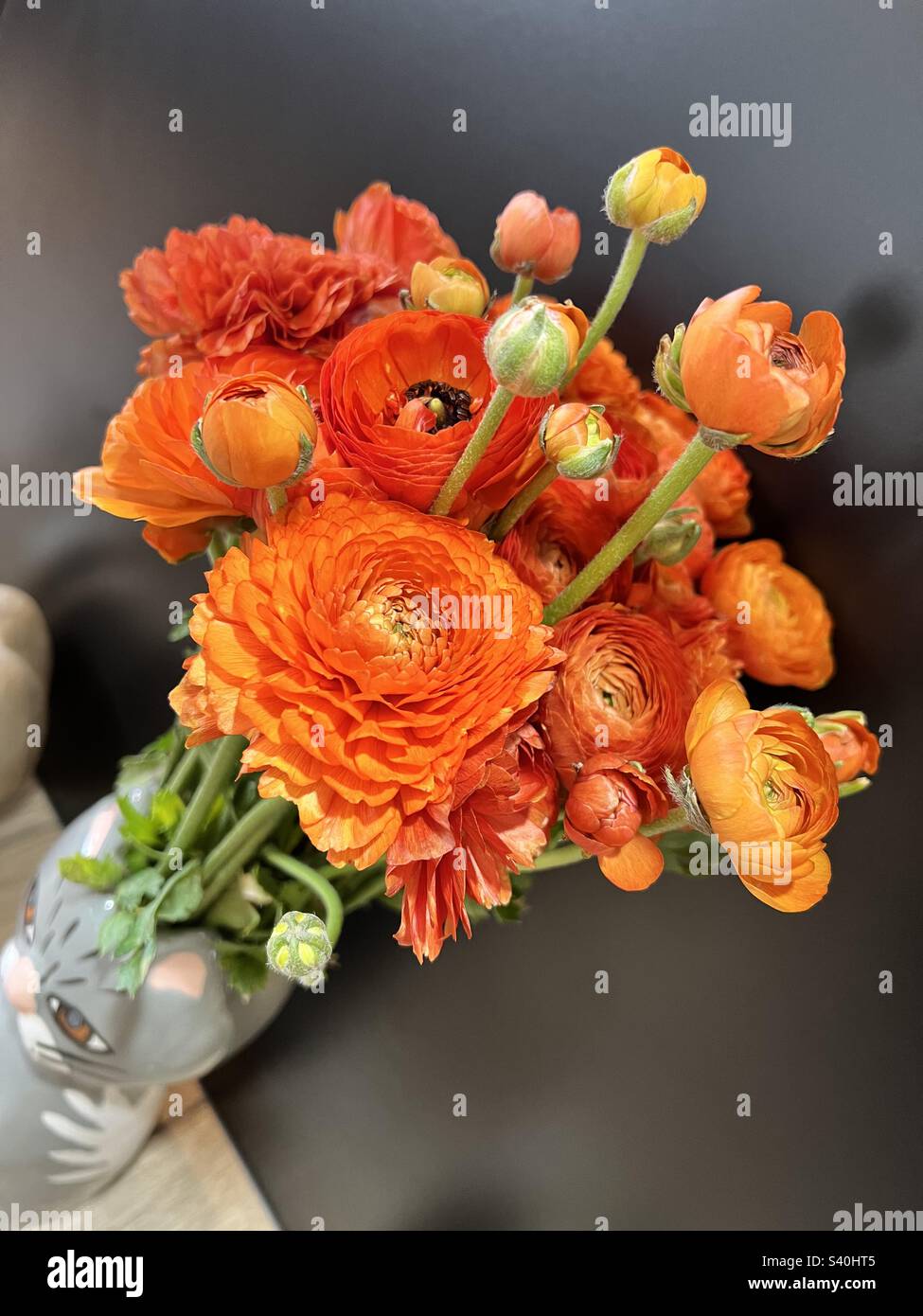 Orange flowers Stock Photo
