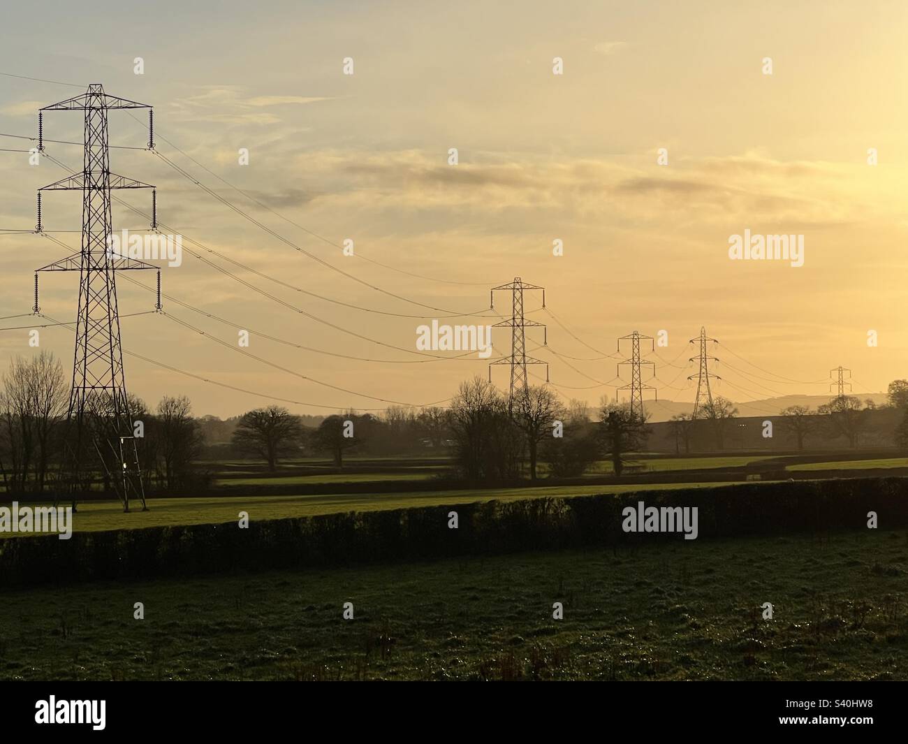 Electricity pylons stretching into the distance at sunset in Devon
