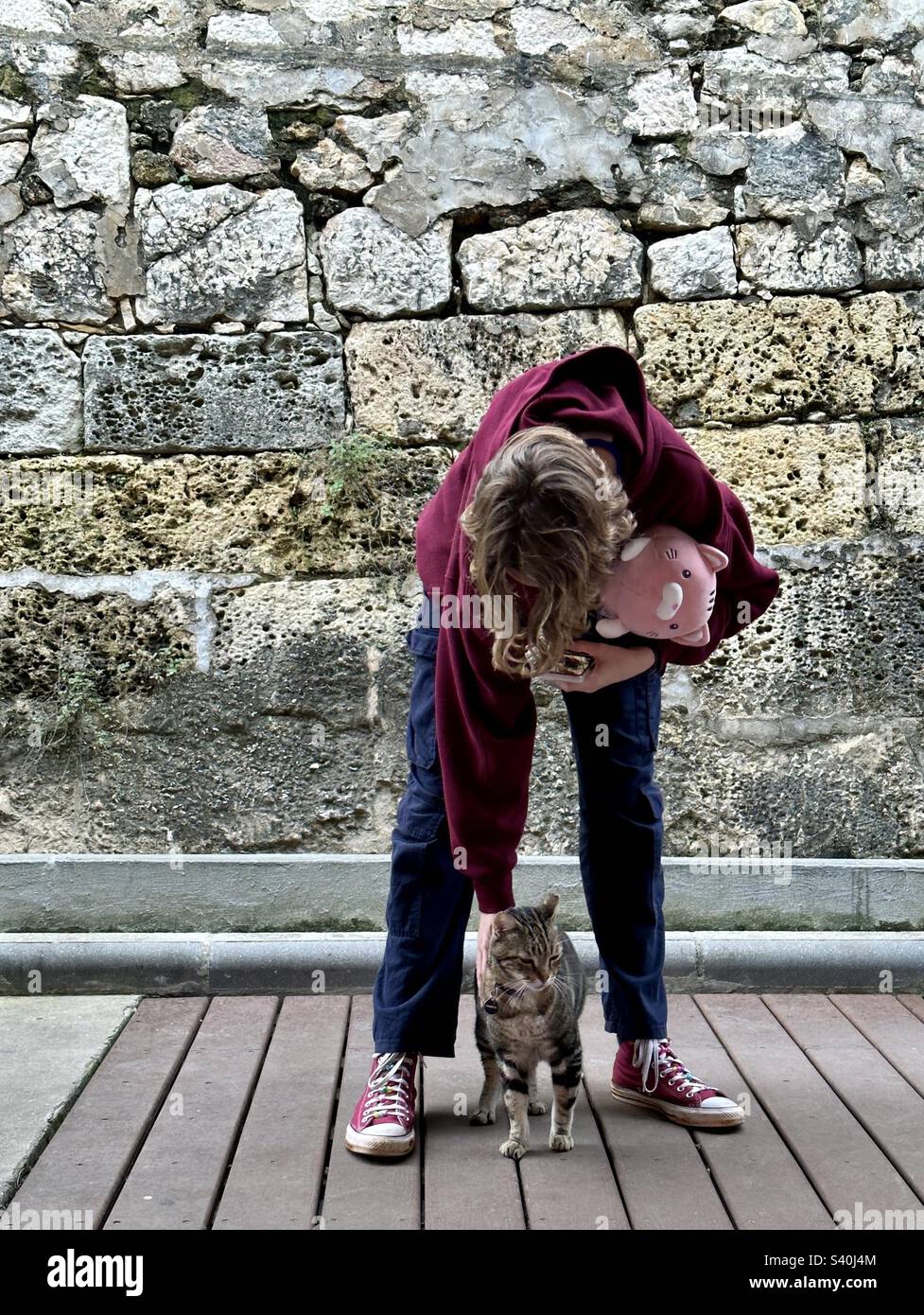 Teenager stroking a cat while holding a toy cuddly cat - Smartphone Captured Stock Image