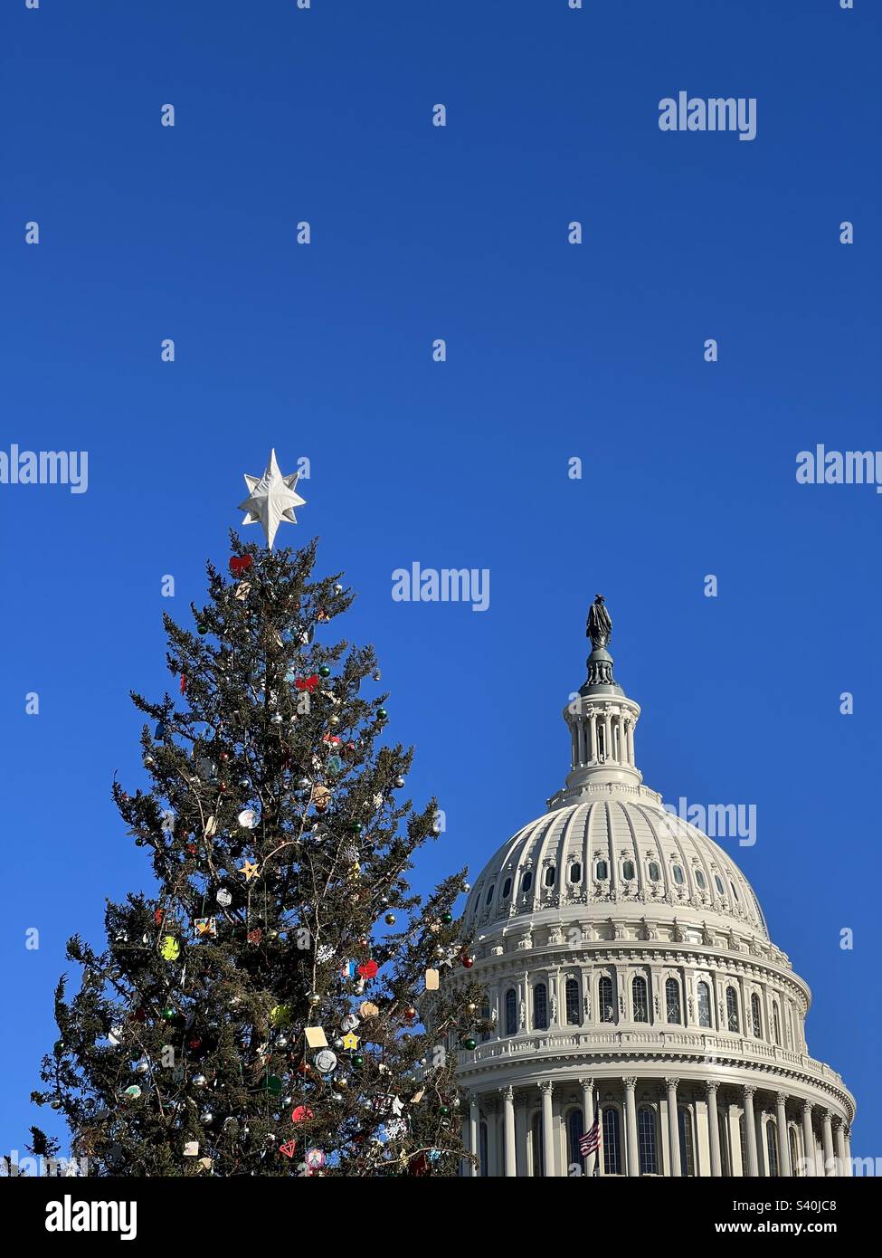 Christmas tree at US capitol Stock Photo Alamy