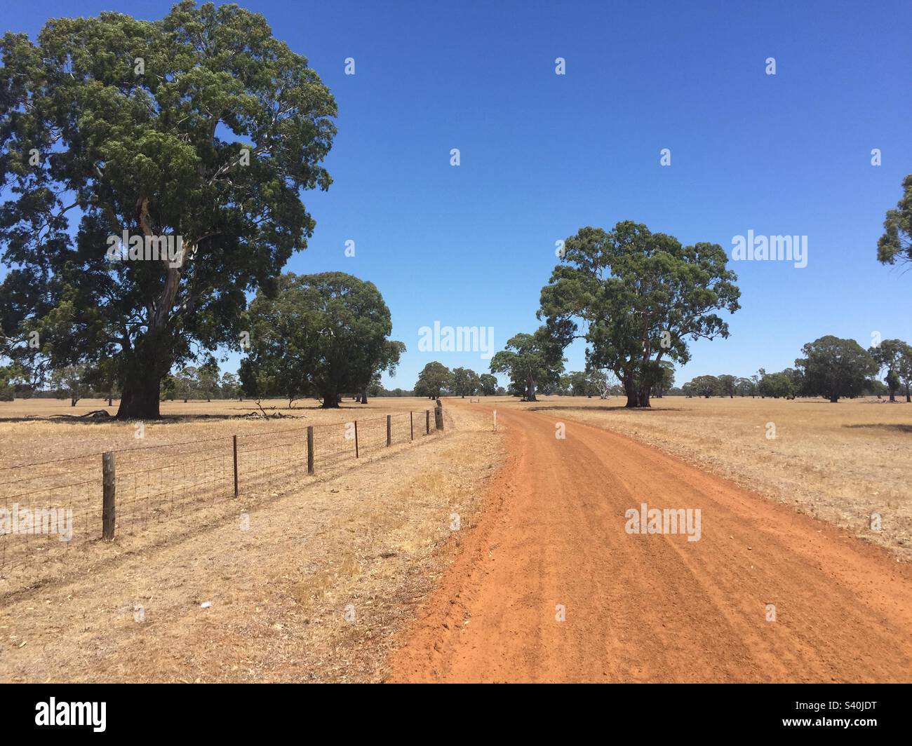 Country road Australia Stock Photo