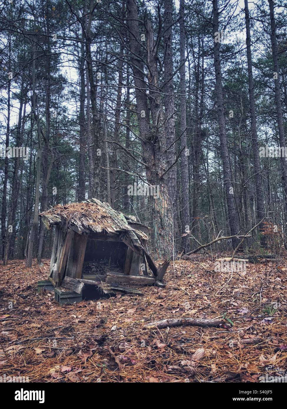 Old dog house in the woods Stock Photo Alamy