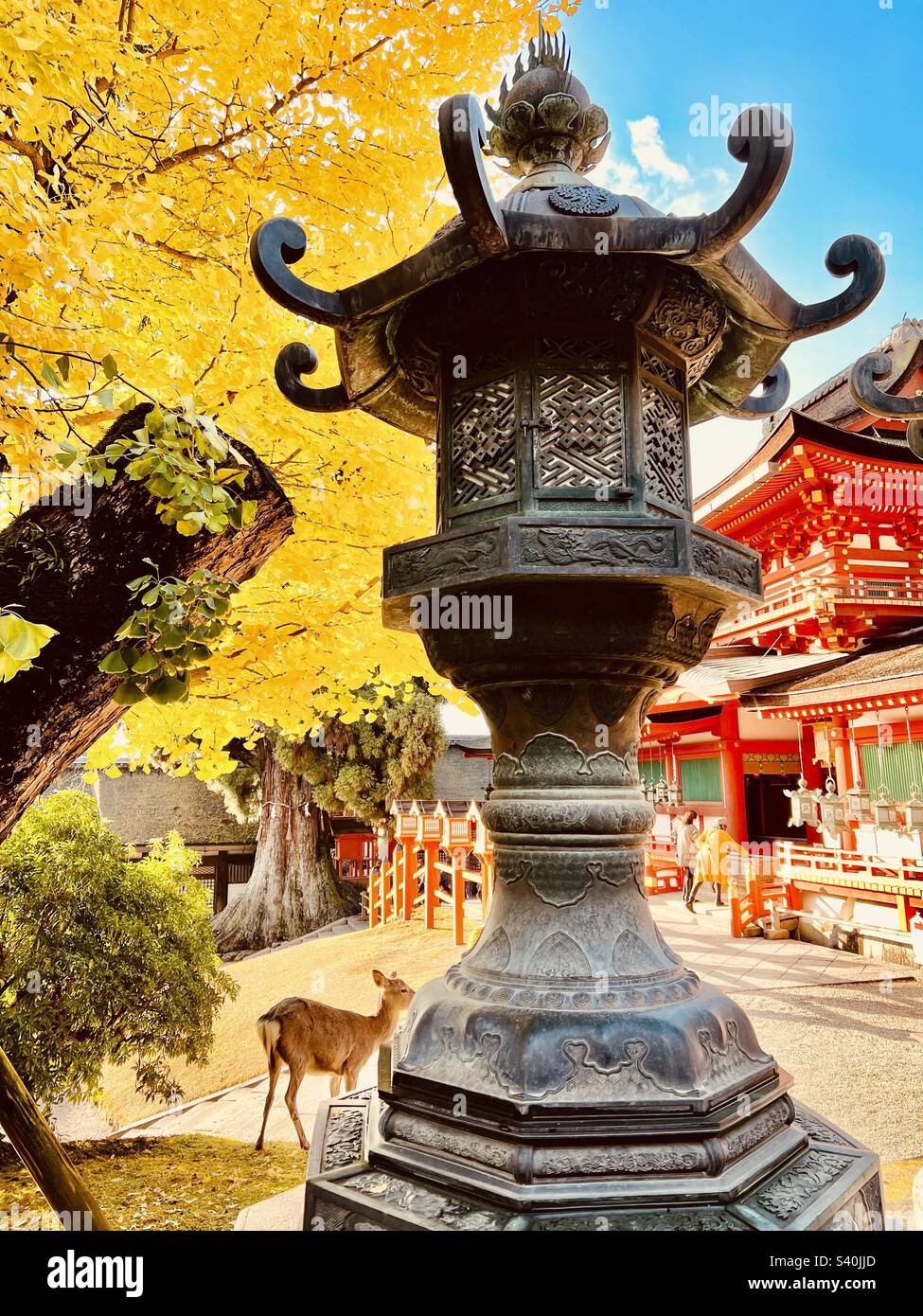 Stone lantern at Kasuga-taisha shrine in Nara, Japan. Includes a famous Nara deer. Stock Photo