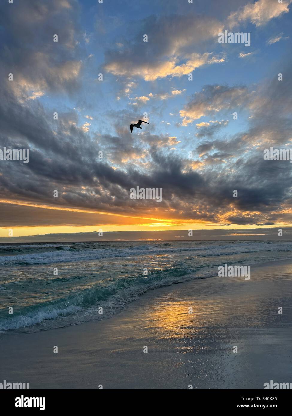 Seagull silhouette with colorful sunset sky background over the Gulf of Mexico Florida Emerald Coast Stock Photo