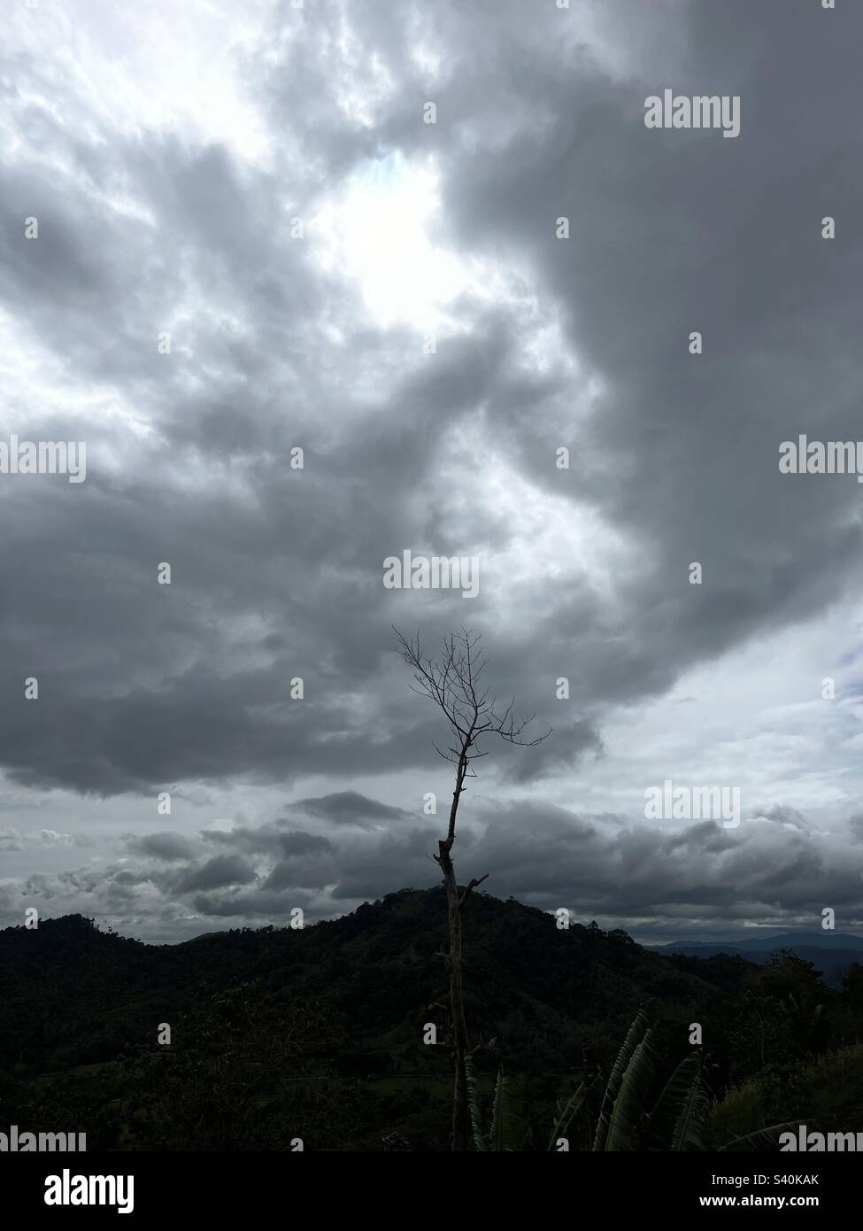 Autumn and the dark clouds - Smartphone Captured Stock Image
