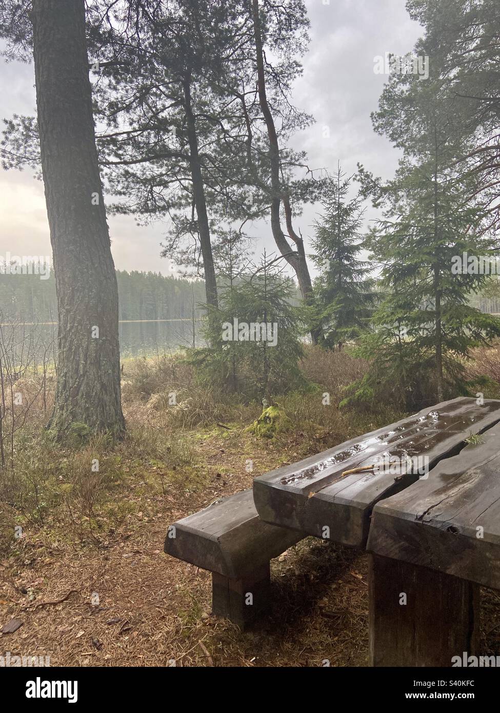 Camp camping hi-res stock photography and images - Alamy