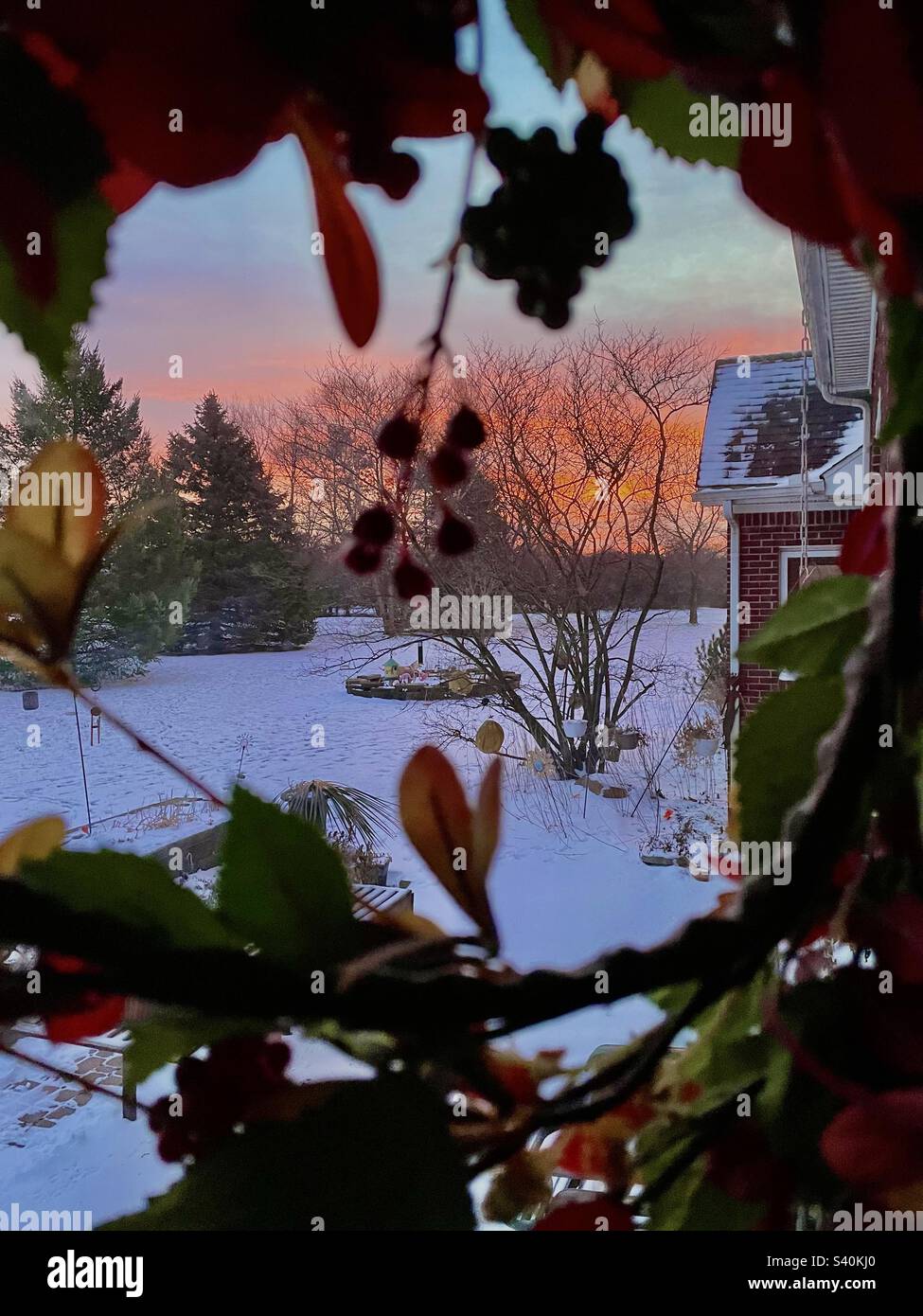 Sunrise through wreath - Smartphone Captured Stock Image