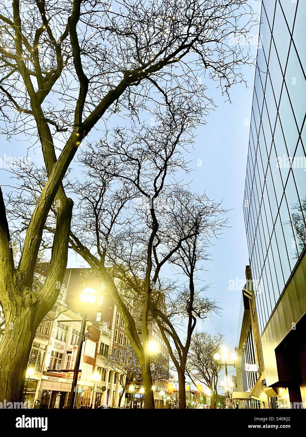 Downtown Ann Arbor Christmas Stock Photo Alamy