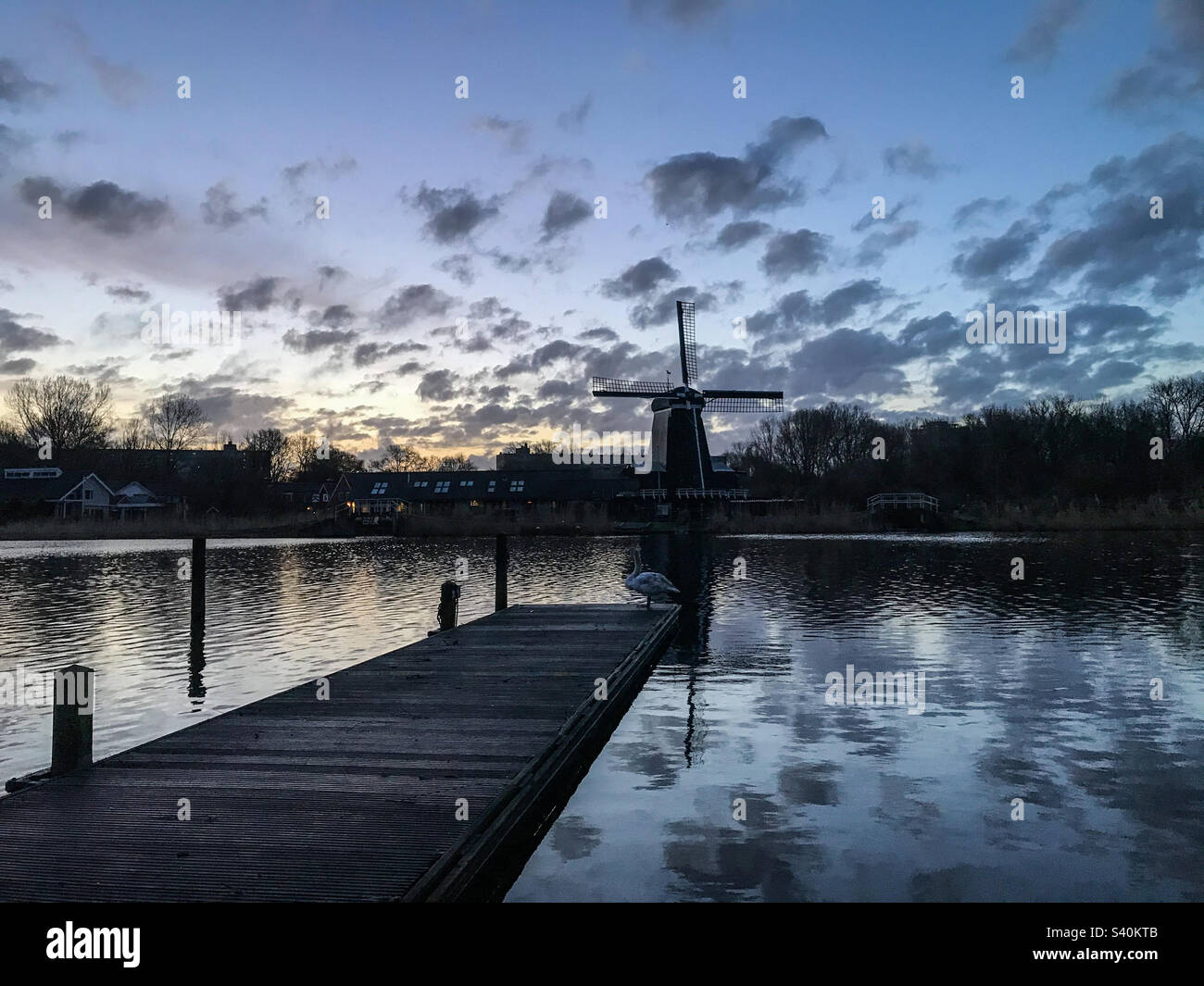 Peaceful Sunrise over Dutch Windmill by Lake and Field - Smartphone Captured Stock Image