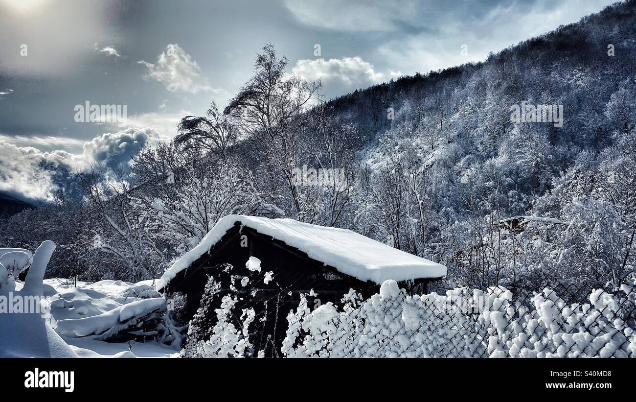 Winter wonderland - Smartphone Captured Stock Image