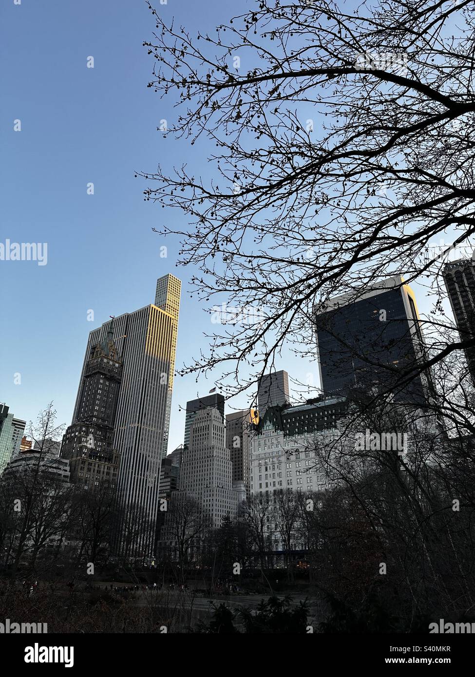 Manhattan skyline from Central Park, New York, USA at sunset - Smartphone Captured Stock Image