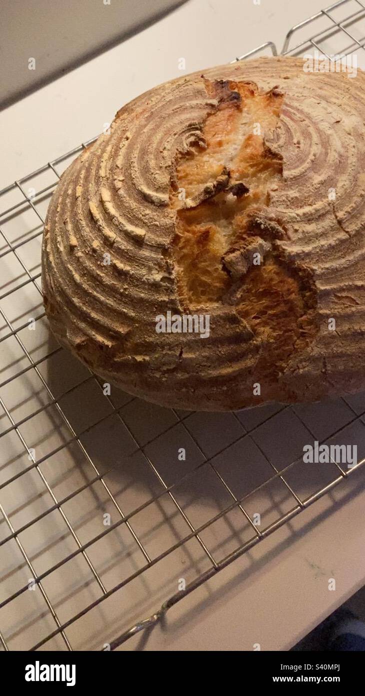 Freshly baked bread on a cooling rack Stock Photo
