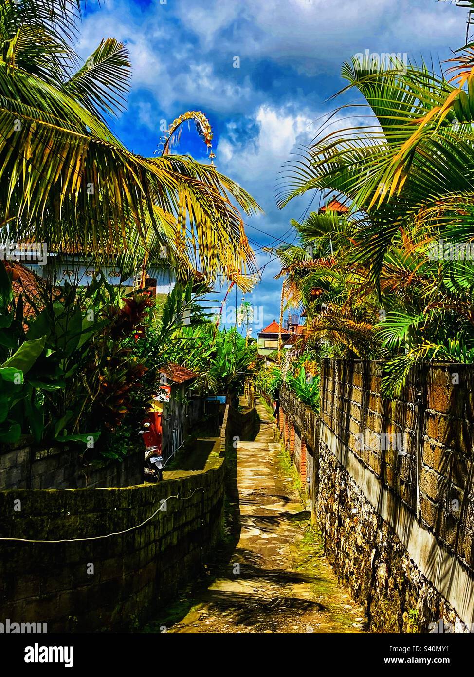View of an alley in Ubud Bali on Galungan day with the Pajor - decorated bamboo poles - Smartphone Captured Stock Image