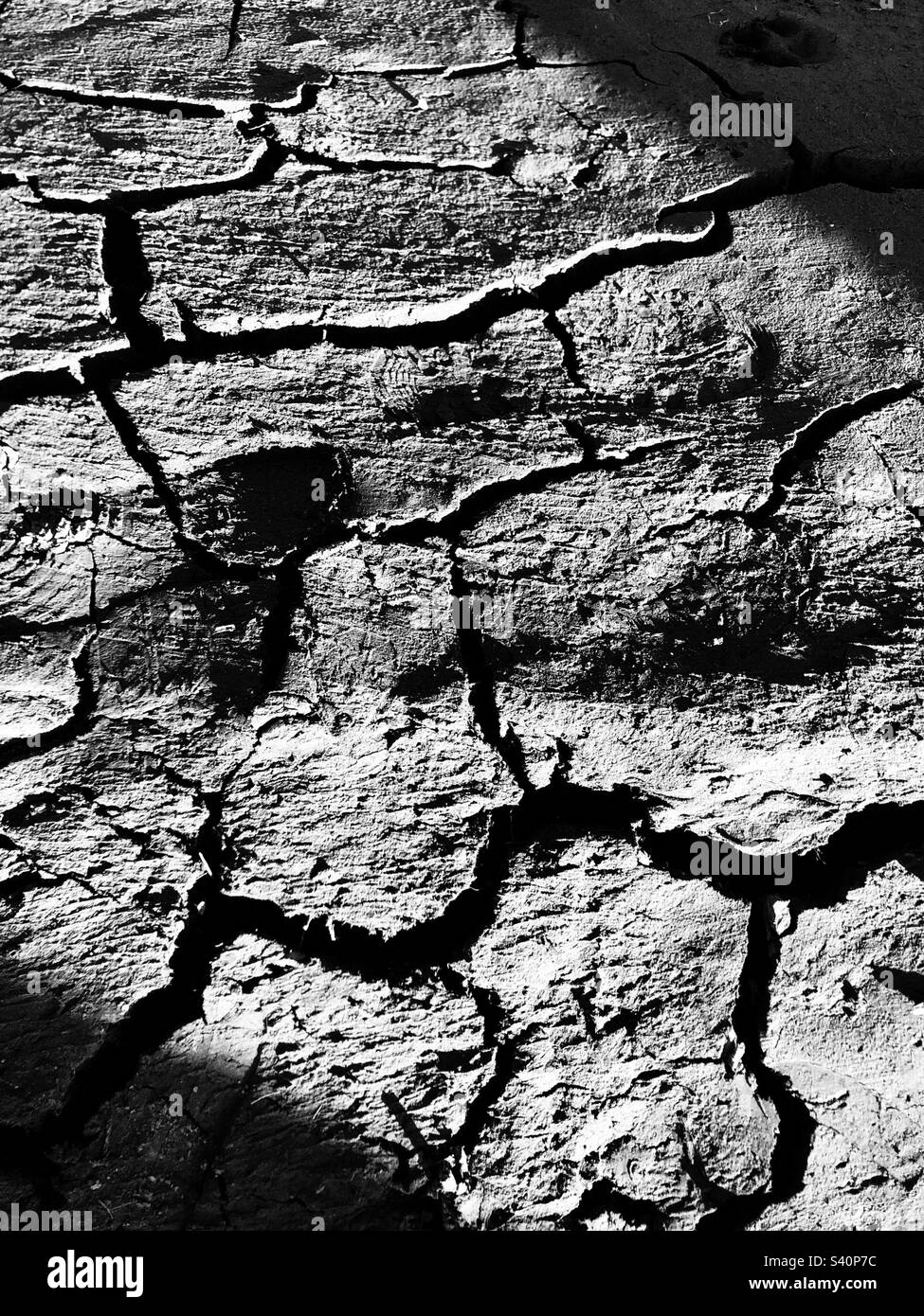 Cracked earth due to drought in Spain - Smartphone Captured Stock Image