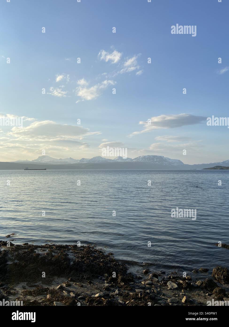 Coastal view in Narvik, Norway in June 2022 - Smartphone Captured Stock Image