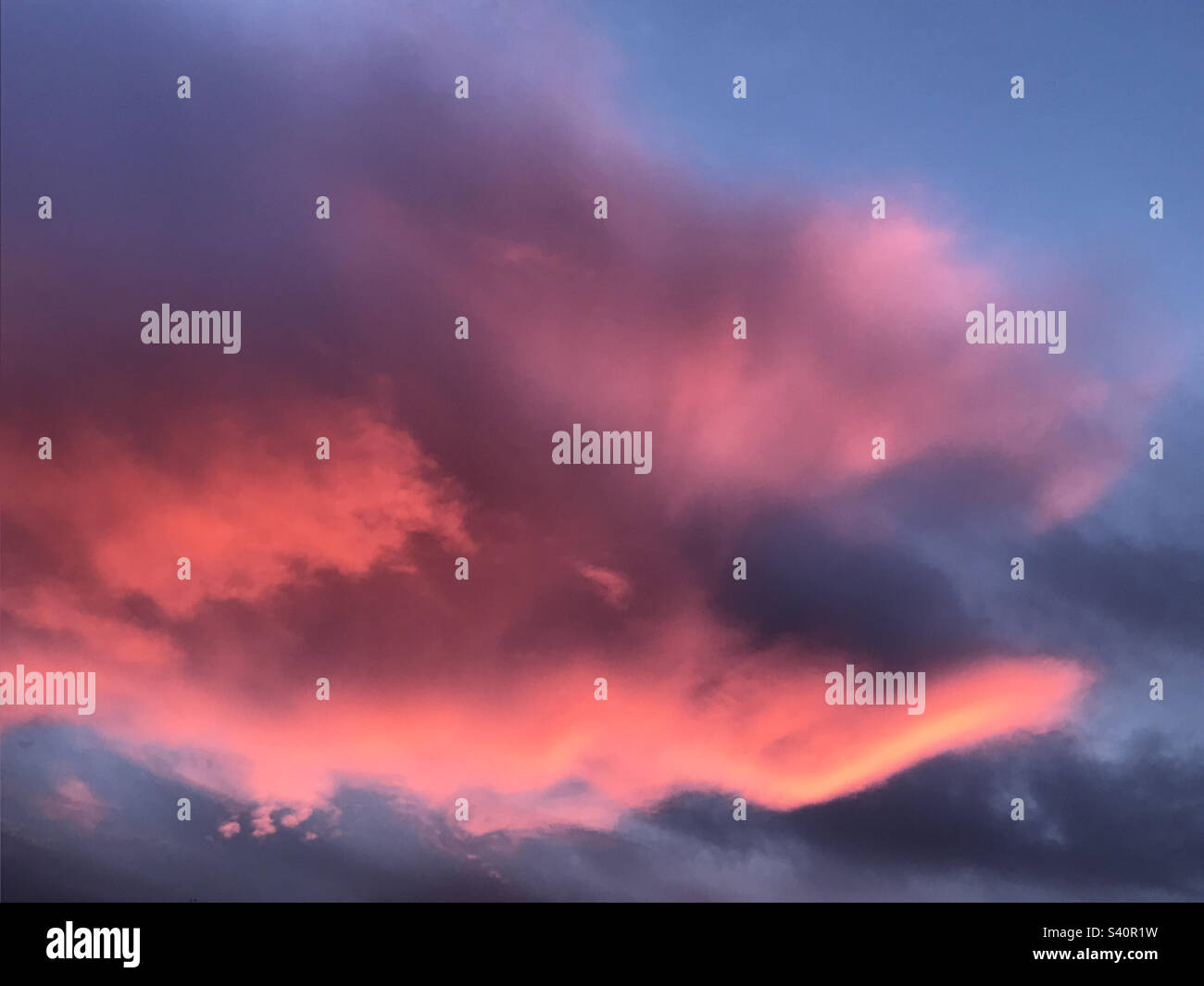 Pink cloud. Stock Photo