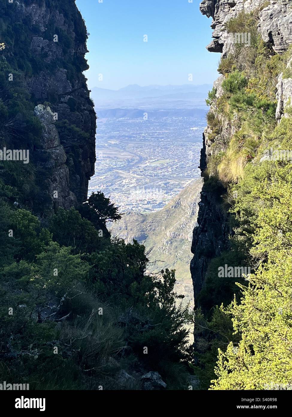 A hike on top of Table Mountain in South Africa landed me on this